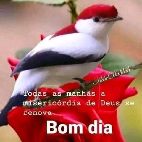 Conversas de adultos( Amizade e entretenimento)🫂🔞